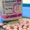 buy oxycontin online